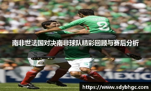 南非世法国对决南非球队精彩回顾与赛后分析